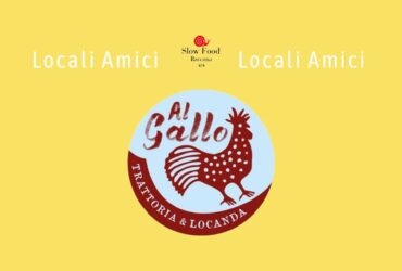 Gallo (1)
